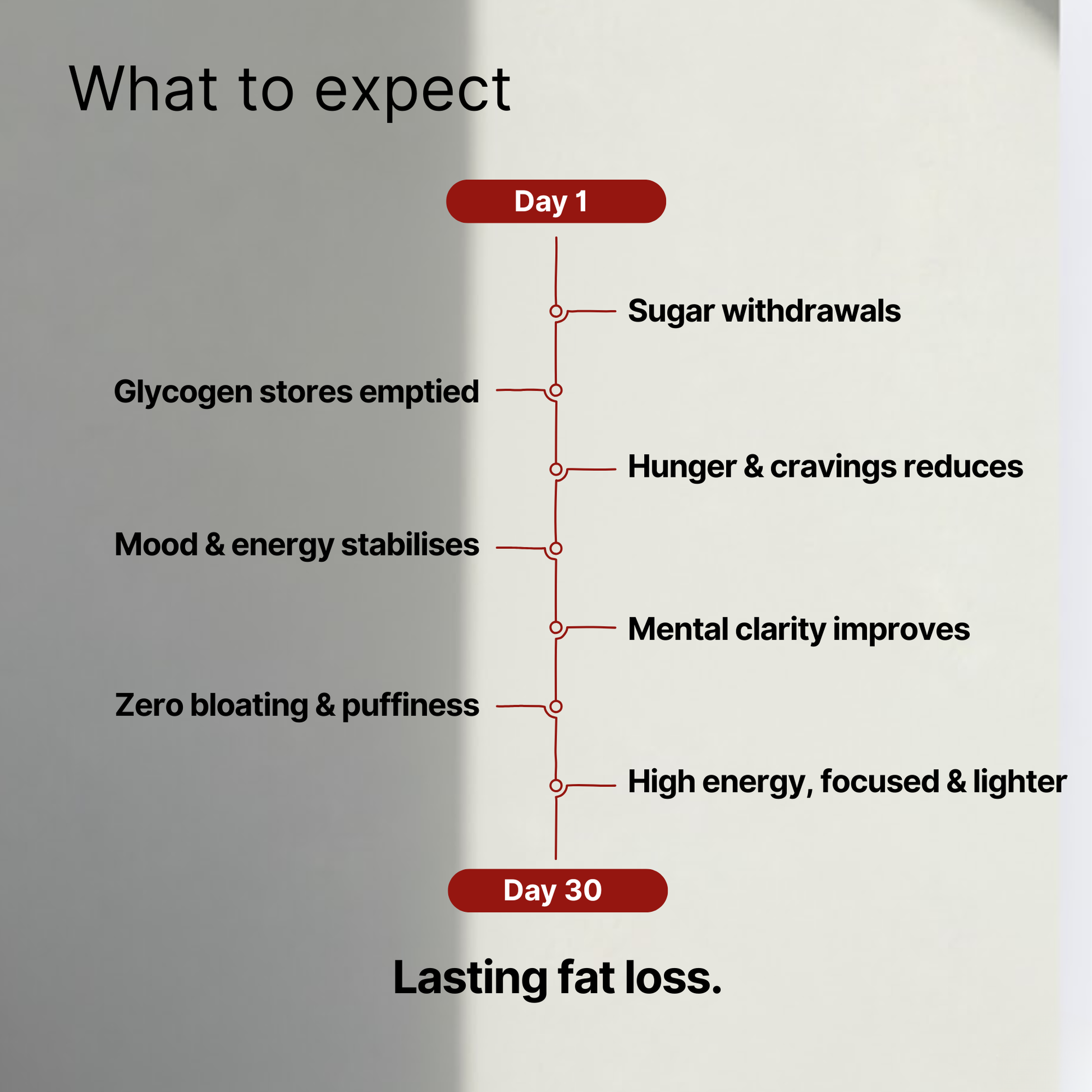 Keto Vital Meal Shake