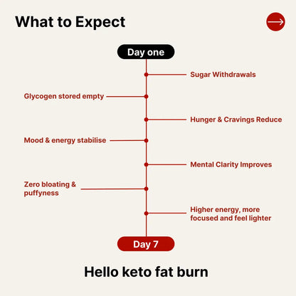 Keto Full Experience Bundle